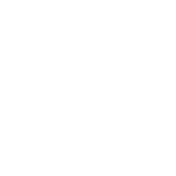 Mi tienda